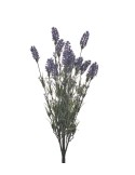 LAVANDEA LA019 CESCUGLIO X15 H61CM su TreG Ingrosso