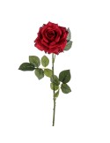 ROSA RO093 APERTA 85CM su TreG Ingrosso