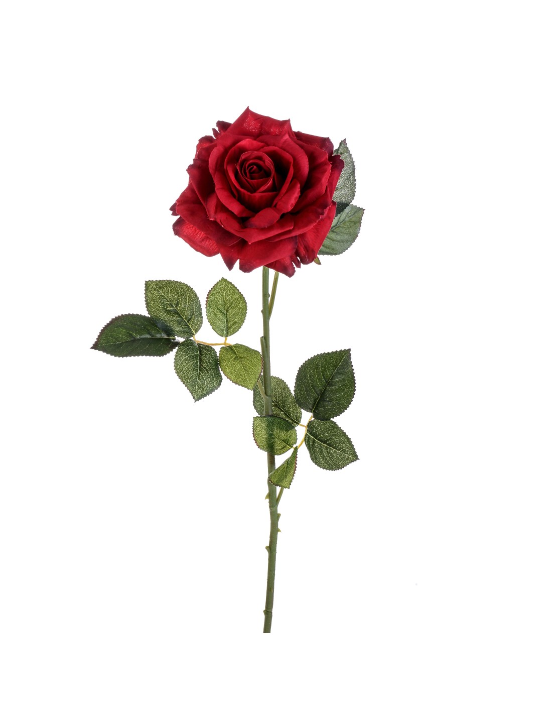 ROSA RO093 APERTA 85CM su TreG Ingrosso