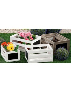 CASSETTA LEGNO 40293 3A su TreG Ingrosso