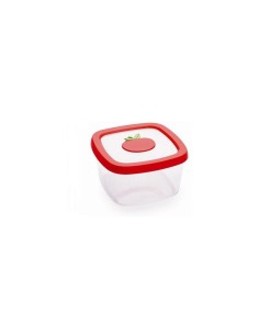 CONTENIT 21431-5 1LT AROMA su TreG Ingrosso