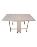 TAVOLO GIORGIA 90X140 COLORI ASSORTITI su TreG Ingrosso