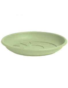 DOMUS SOTTOVASO 4322SA 22CM SALVIA su TreG Ingrosso