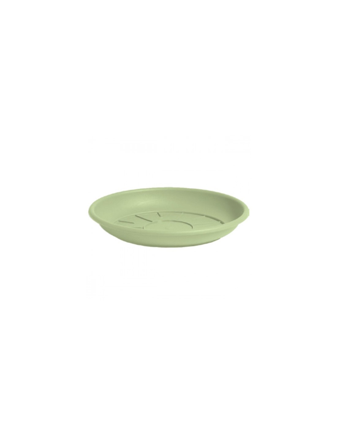 DOMUS SOTTOVASO 4322SA 22CM SALVIA su TreG Ingrosso
