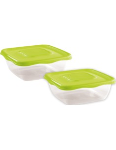 SET 2 SCAT FRIGO 17751 0,9L Q.ROALTAMIR su TreG Ingrosso