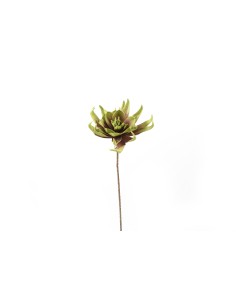 STELO 60545 FIORE TROPICALE H82CM su TreG Ingrosso