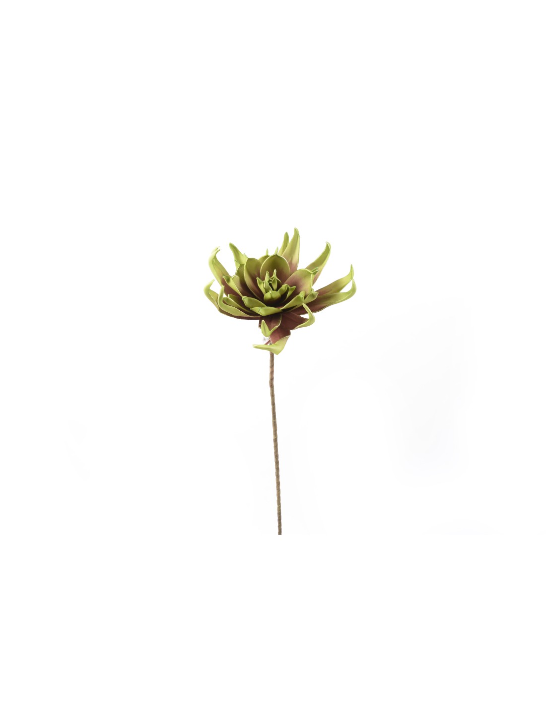 STELO 60545 FIORE TROPICALE H82CM su TreG Ingrosso