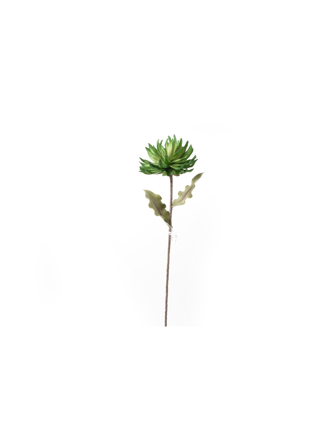 STELO 60576 FIORE PIANTA GRASSA H90 su TreG Ingrosso