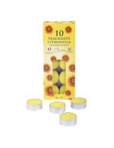 CONF 10 T/LIGHTS TH10C CITRONELLA su TreG Ingrosso
