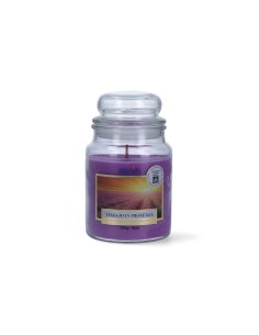 CANDELA 510GR CON STOPPINO LEGNO LAVANDA su TreG Ingrosso