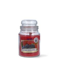 CANDELA 510GR CON STOPPINO LEGNO FRUTTI DI BOSCO su TreG Ingrosso
