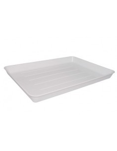 VASSOIO IN PLASTICA 55X34X5 GIGANPLAST su TreG Ingrosso
