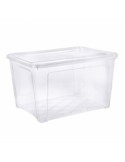 COMBI BOX SCATOLA CON COPERCHIO 145 LT su TreG Ingrosso