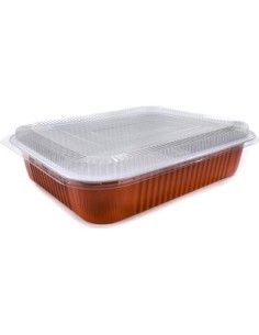 CONTENITORE 551 6PORZ 2PZ C/COP TERRACOTTE su TreG Ingrosso