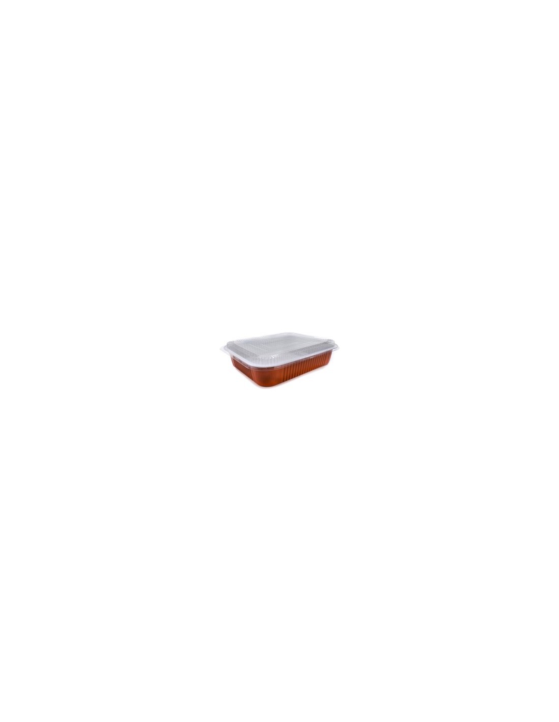 CONTENITORE 551 6PORZ 2PZ C/COP TERRACOTTE su TreG Ingrosso