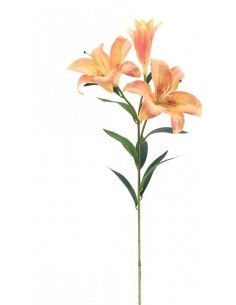 LILIUM 6240 ASSORTITO su TreG Ingrosso