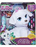 FUR REAL F1971 GOGO CAGNOLINO BALLERINO su TreG Ingrosso