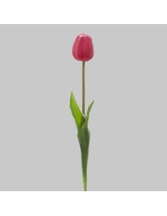 FIORE 15930054-16 TULIPANO ROSA su TreG Ingrosso