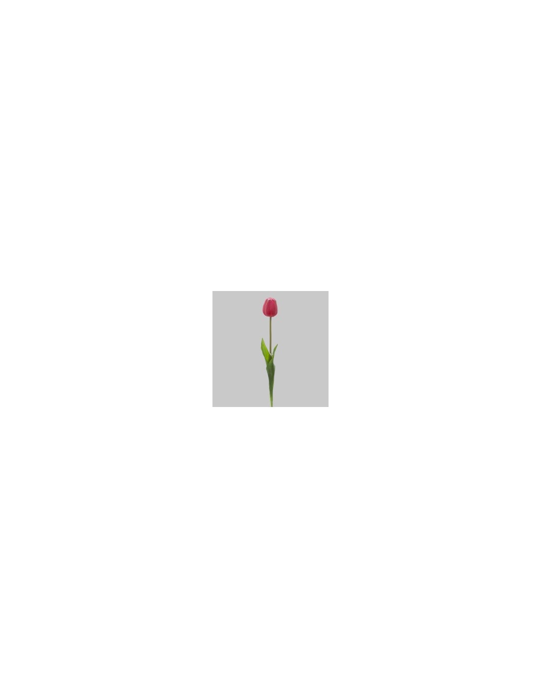 FIORE 15930054-16 TULIPANO ROSA su TreG Ingrosso