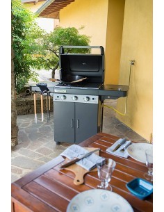 BARBECUE 2000033886 3SERIES LS PLUS DUALGAS su TreG Ingrosso