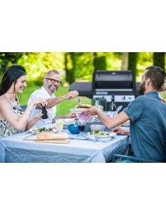 BARBECUE 2000033886 3SERIES LS PLUS DUALGAS su TreG Ingrosso