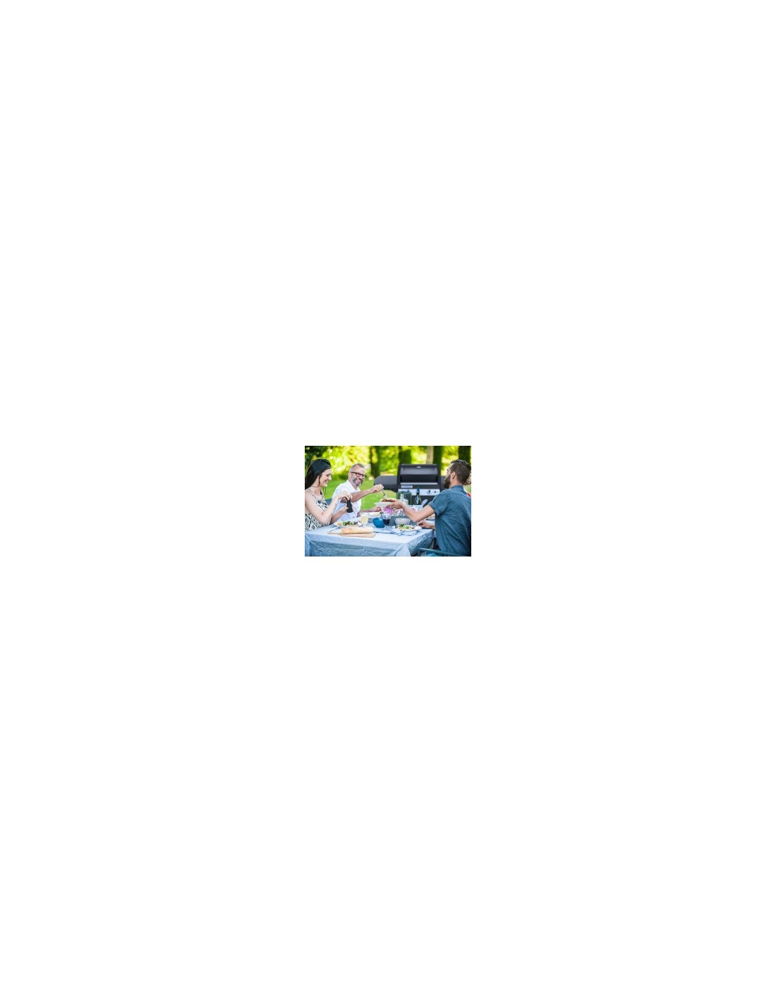 BARBECUE 2000033886 3SERIES LS PLUS DUALGAS su TreG Ingrosso