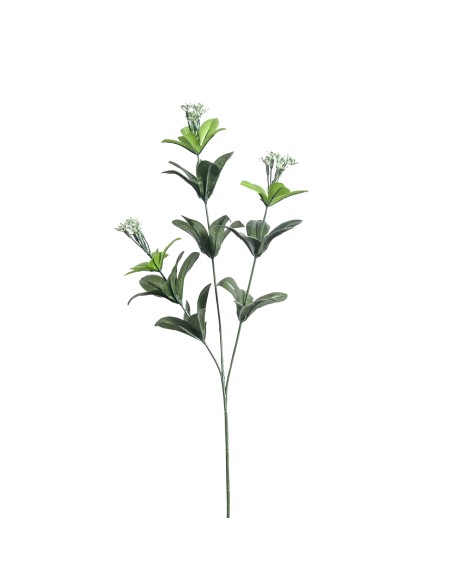 RAMO AF068 LAURO 61CM