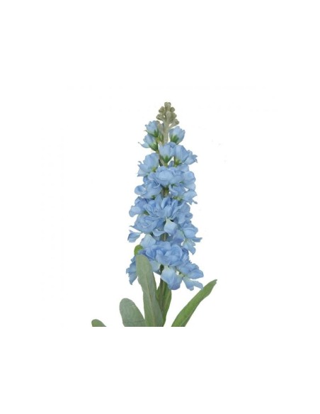 DELPHINIUM 4383 ASSORT