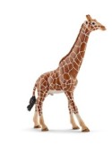 MODELLINO 14749 GIRAFFA MASCHIO