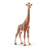 MODELLINO 14750 GIRAFFA FEMMINA