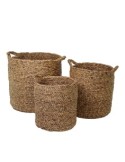 CESTO 138183 3 MIS GIACINTO D'ACQUA NATURALE