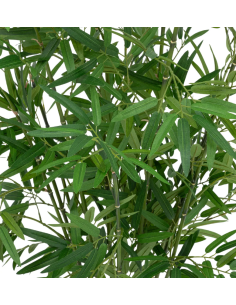 PIANTA 198205 BAMBOO H100CM CON VASO NATURALE