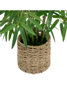PIANTA 198205 BAMBOO H100CM CON VASO NATURALE 2