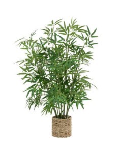 PIANTA 198205 BAMBOO H100CM CON VASO NATURALE