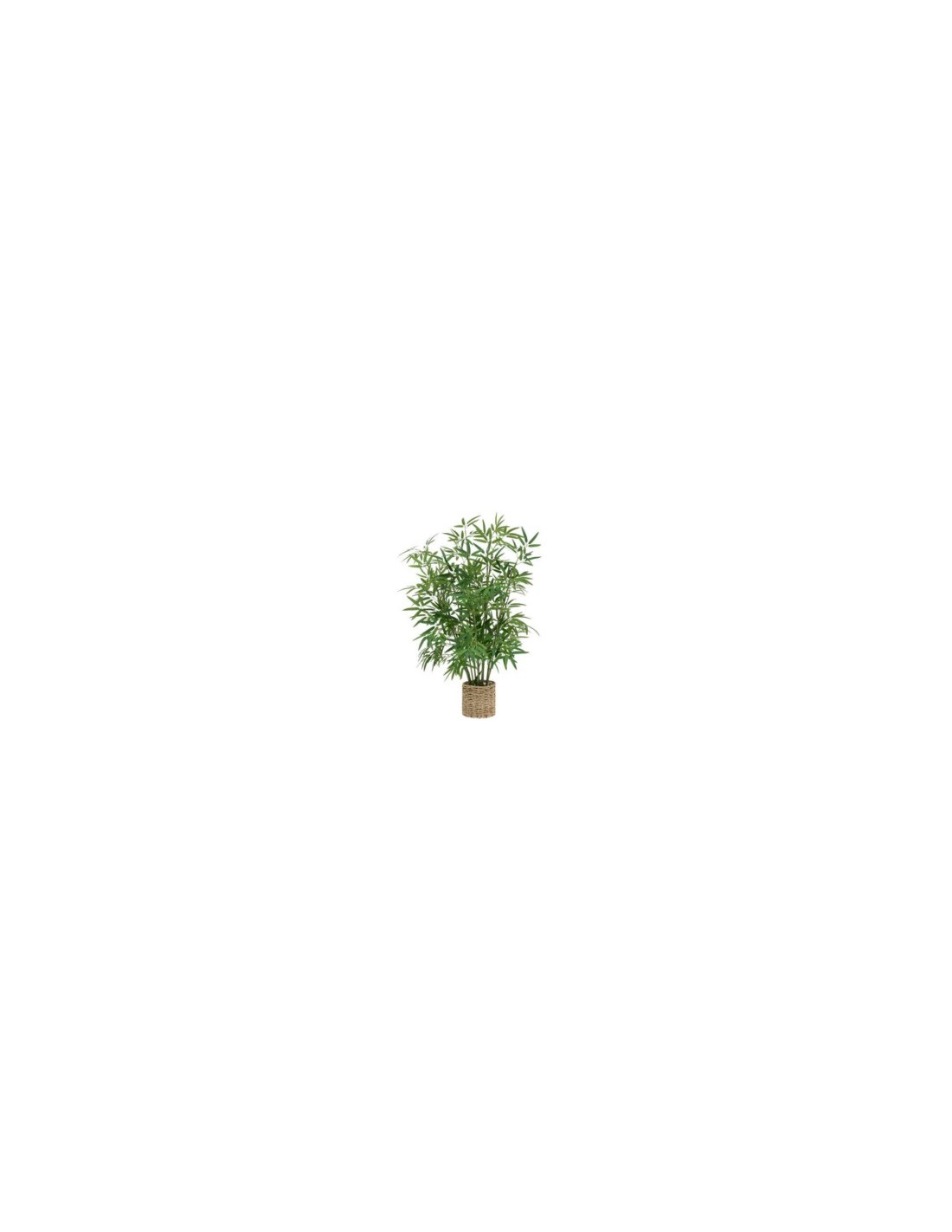 PIANTA 198205 BAMBOO H100CM CON VASO NATURALE