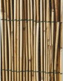 CANNICCIO ARELLA CON LEGATURA IN NYLON 100 X 300 su TreG Ingrosso