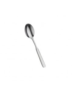 CASALI CF 12 PZ CUCCHIAI 14 CM PINTINOX su TreG Ingrosso