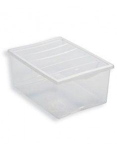 SPRING BOX CON COPERCHIO BELLI E FORTI su TreG Ingrosso