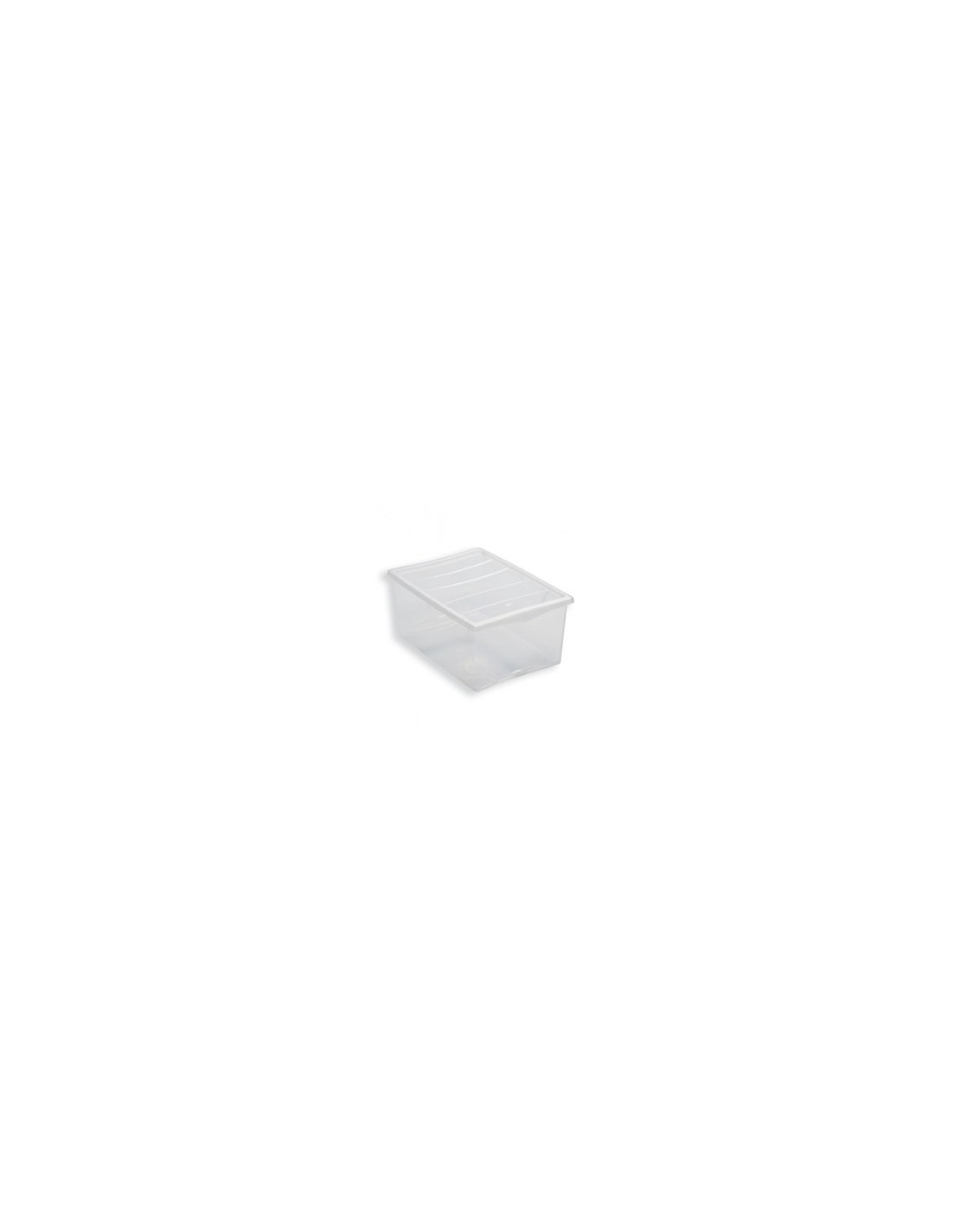 SPRING BOX CON COPERCHIO BELLI E FORTI su TreG Ingrosso