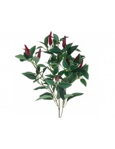 RAMO PEPERONCINO 60CM FV034 BIANCHI DINO su TreG Ingrosso