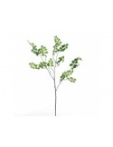 CAPELVENERE AF063 GREEN 83CM su TreG Ingrosso
