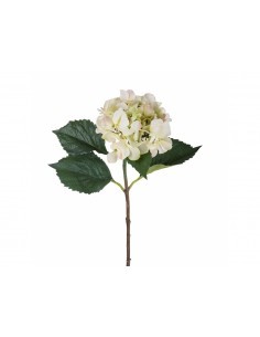 ORTENSIA OT014 71CM
