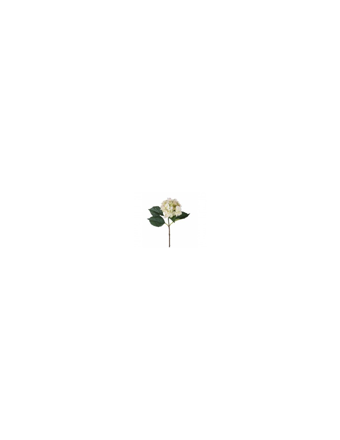 ORTENSIA OT014 71CM