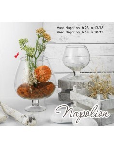 NAPOLION VASO IN VETRO MEDIO H.23 CM DIAMETRO 13/18 CM su TreG Ingr...