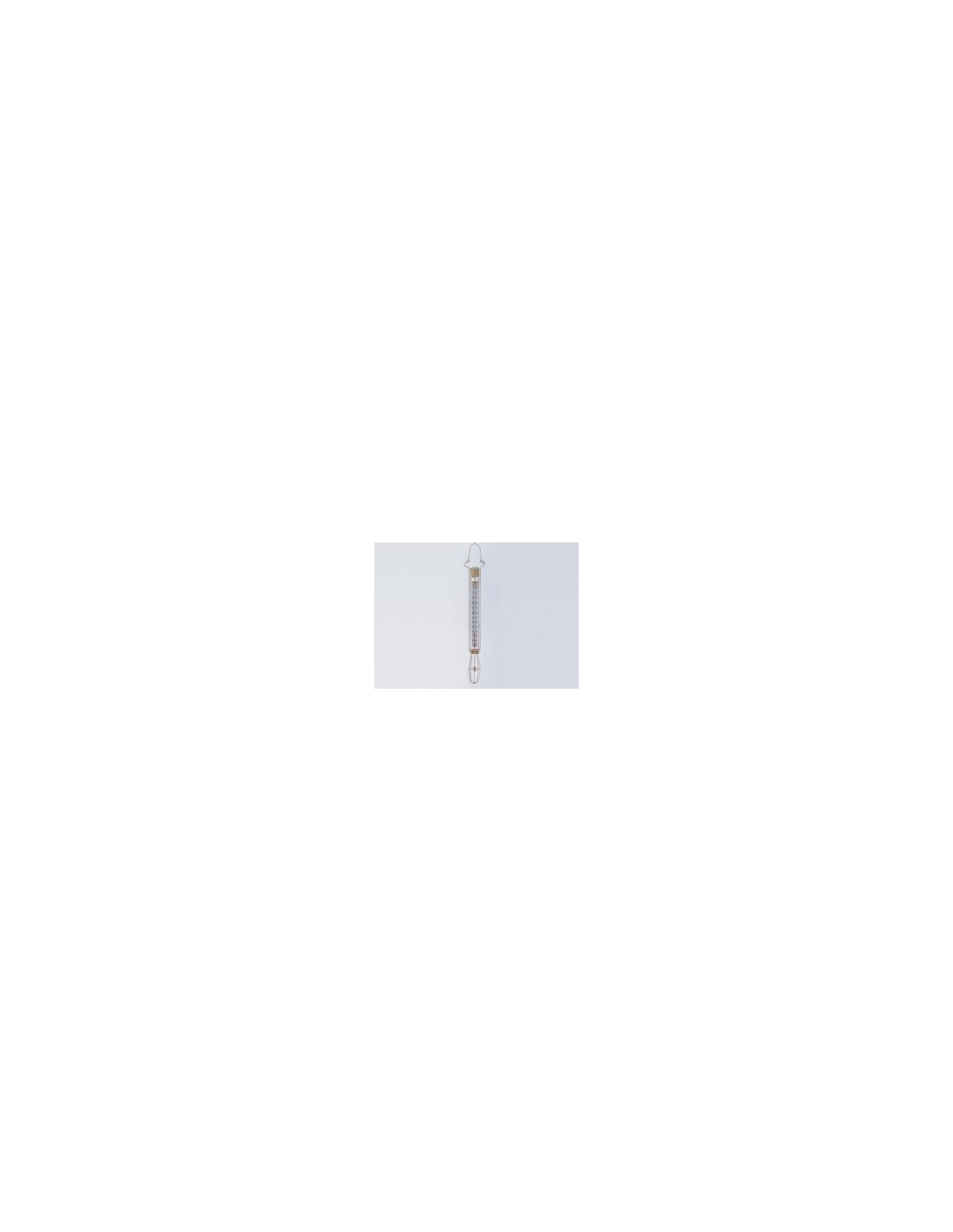 TERMOMETRO LATTE 043883 su TreG Ingrosso