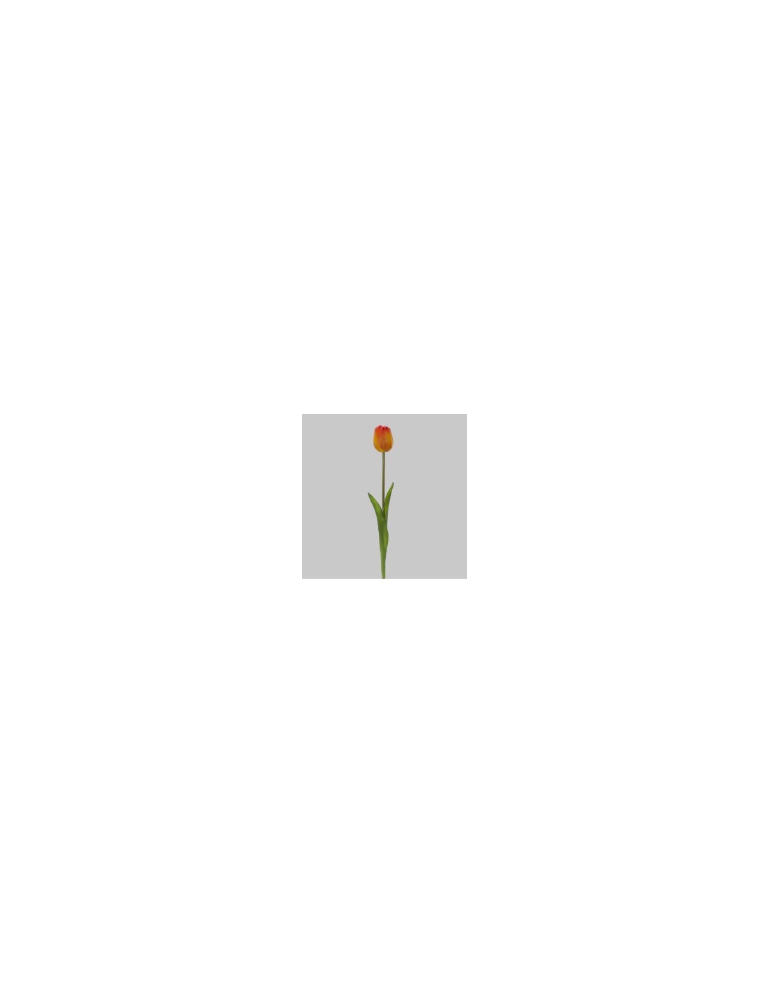 FIORE 15930054-14 TULIPANO ARANCIO su TreG Ingrosso