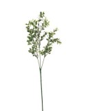 STELO 13640025-01 BOSSO VERDE 3 RAMI su TreG Ingrosso
