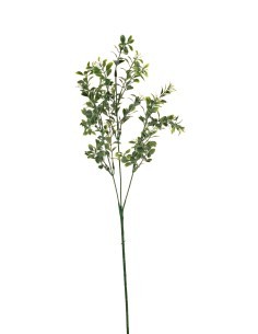 STELO 13640025-01 BOSSO VERDE 3 RAMI su TreG Ingrosso