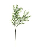 STELO 13640068-01 ASPARAGO VERDE 3 RAMI su TreG Ingrosso