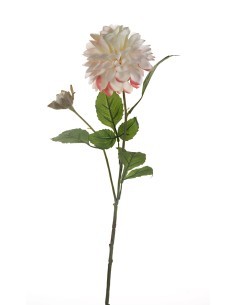 FIORE 15910093-03 DALIA ROSSA CON BOCCIOLO